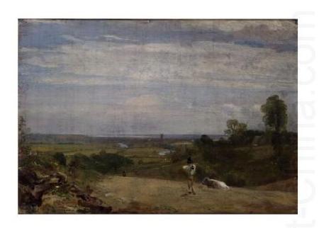 John Constable Summer morning: Dedham from Langham china oil painting image